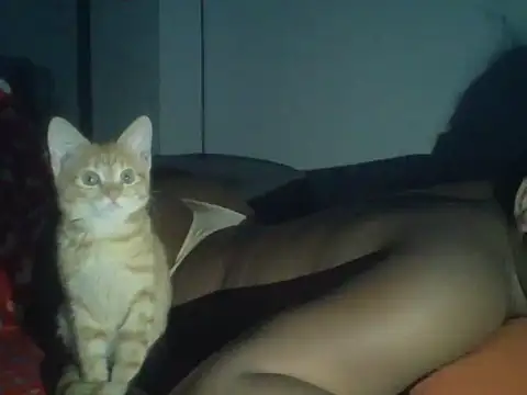 val5 online show from 01-17-26, 03:00