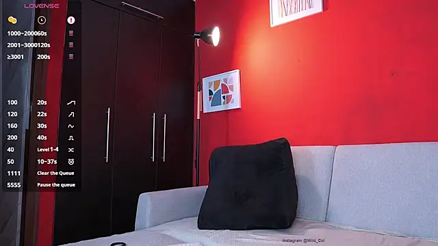 wild col  online show from 11-01-25, 12:51