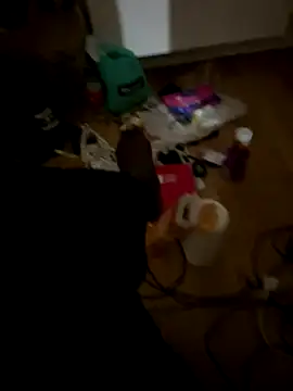 la chiennete online show from 12-01-25, 08:36