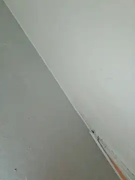 Stomps33 online show from 02-05-26, 10:58