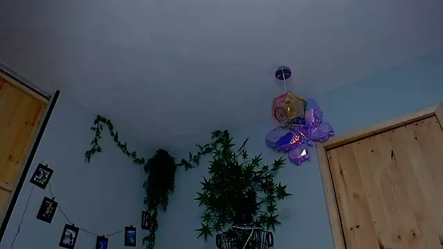 VickyJackson  online show from 11-19-25, 07:58