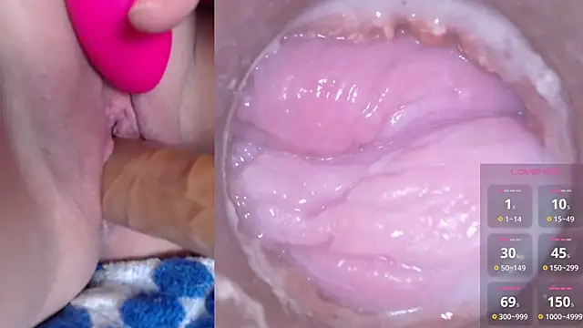 danigirl866 online show from 12-14-24, 02:01