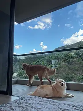 Helenbronwx online show from 01-17-25, 09:28