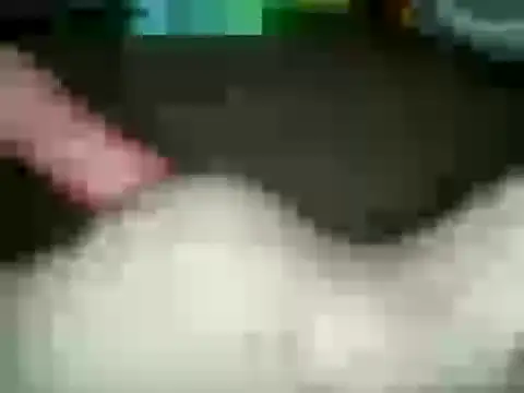 xxxlecram online show from 01-15-25, 11:53