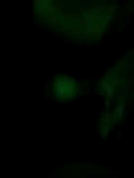 Snapshot of Vuyokaki chatting on 11-30-25, 02:37 Vuyokaki online show from 11-30-25, 02:37