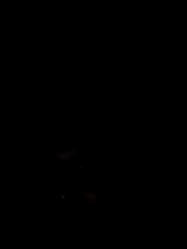 Mailsonp online show from 02-07-26, 05:55