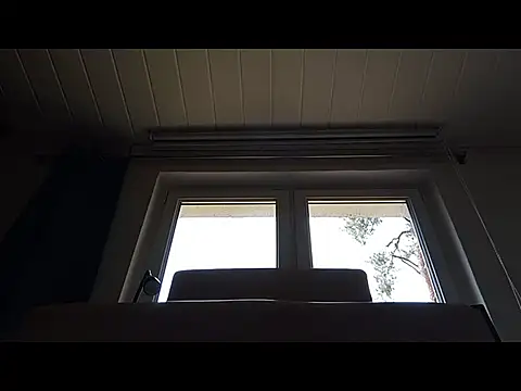 Rainfish online show from 05-24-26, 11:15