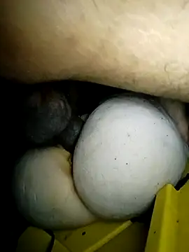 Bigcockmexi13 online show from 03-23-26, 03:05