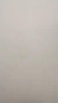 Snapshot of Shuttii_25 chatting on 01-25-25, 10:08 Shuttii 25 online show from 01-25-25, 10:08