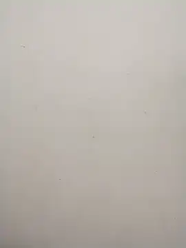 Snapshot of Shuttii_25 chatting on 01-31-25, 06:13 Shuttii 25 online show from 01-31-25, 06:13