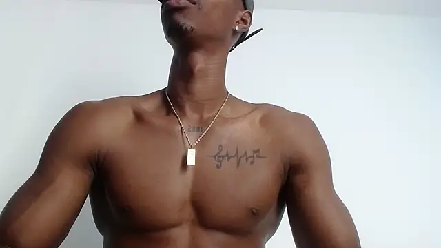 drake brwon 23 online show from 12-01-25, 08:03