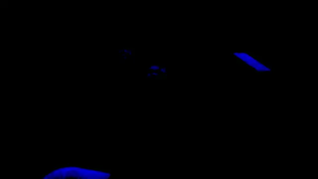 nzanizy online show from 01-31-25, 06:57