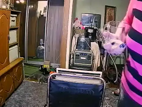 LOLA8888 online show from 12-04-25, 12:03