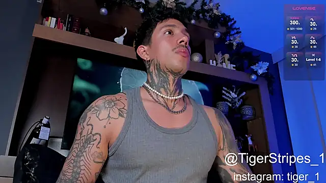 Snapshot of TigerStripes1_ chatting on 01-04-25, 04:44 TigerStripes1 online show from 01-04-25, 04:44