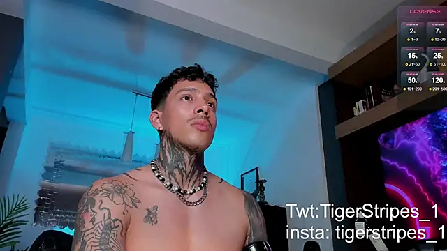 Snapshot of TigerStripes1_ chatting on 02-12-25, 12:05 TigerStripes1 online show from 02-12-25, 12:05