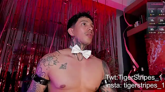 Snapshot of TigerStripes1_ chatting on 02-15-25, 12:15 TigerStripes1 online show from 02-15-25, 12:15