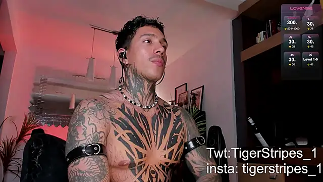 Snapshot of TigerStripes1_ chatting on 02-22-25, 04:18 TigerStripes1 online show from 02-22-25, 04:18