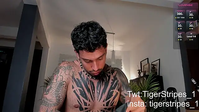 Snapshot of TigerStripes1_ chatting on 02-28-25, 12:43 TigerStripes1 online show from 02-28-25, 12:43