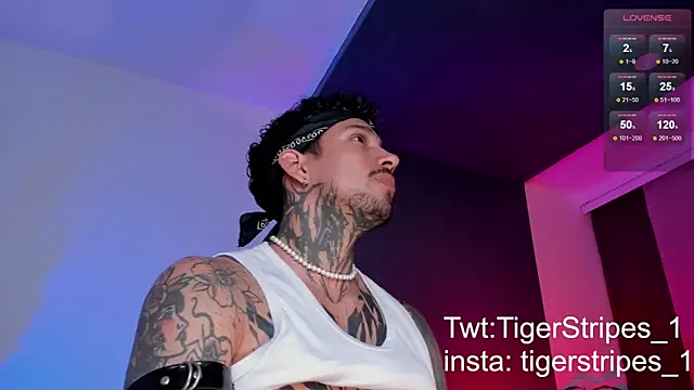 Snapshot of TigerStripes1_ chatting on 03-11-25, 10:42 TigerStripes1 online show from 03-11-25, 10:42