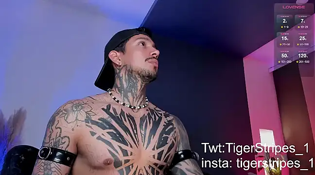 Snapshot of TigerStripes1_ chatting on 03-16-25, 12:56 TigerStripes1 online show from 03-16-25, 12:56