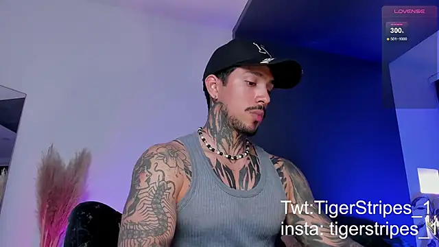 Snapshot of TigerStripes1_ chatting on 03-19-25, 12:59 TigerStripes1 online show from 03-19-25, 12:59