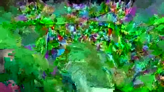 Snapshot of bigdon5169 chatting on 05-01-26, 02:54 bigdon5169 online show from 05-01-26, 02:54