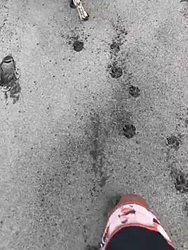 kvr27 online show from 02-24-26, 01:20